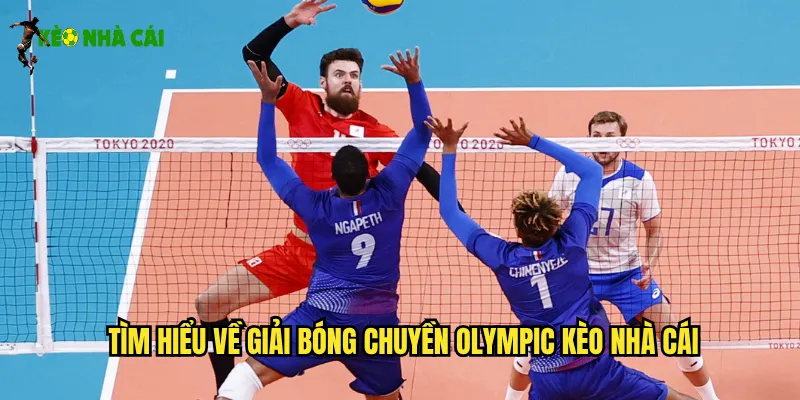 Tìm hiểu về giải bóng chuyền Olympic kèo nhà cái