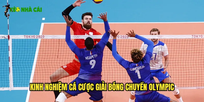 Kinh nghiệm cá cược giải bóng chuyền Olympic
